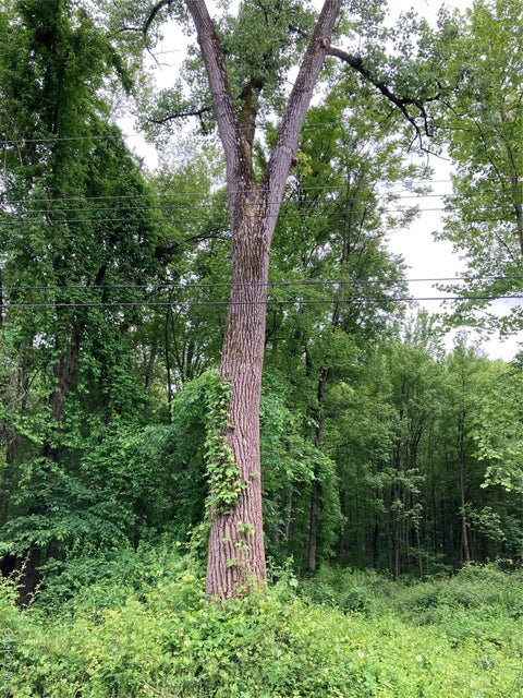 Vacant Land For Sale - 30 Luty Drive<br/> Hyde Park, NY 