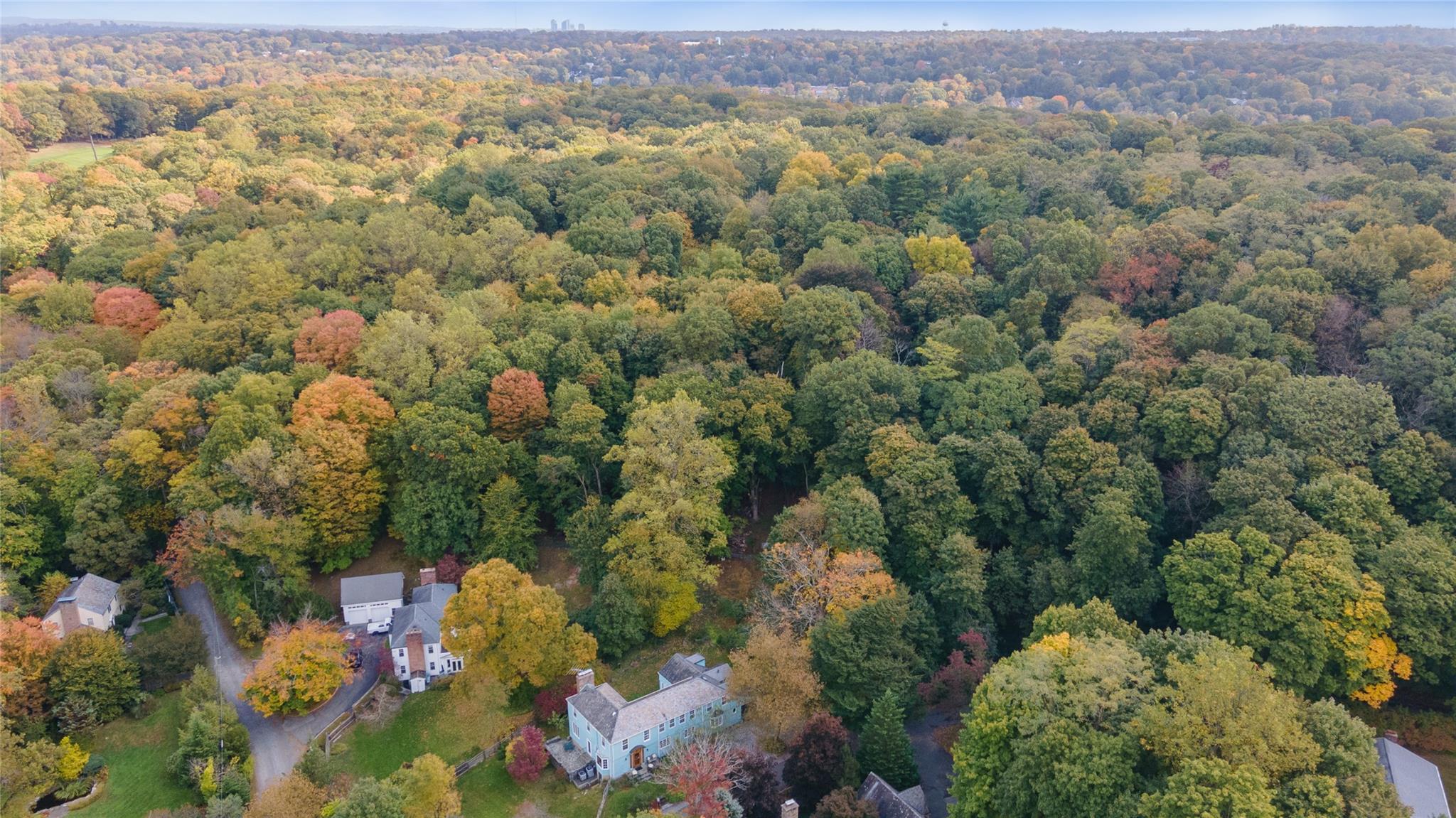 21 Cricket Lane, Dobbs Ferry, Florida image 36