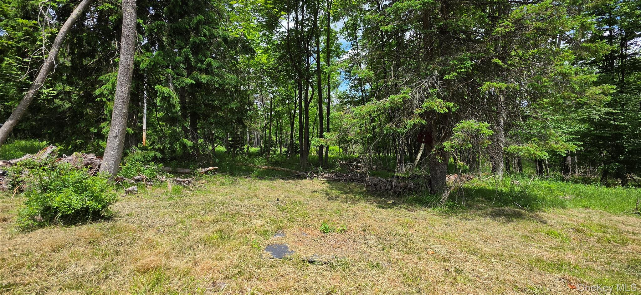 208 Parksville Road