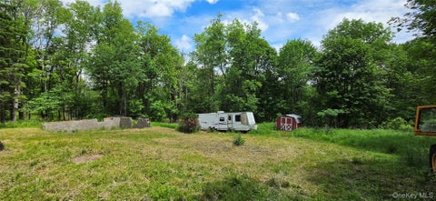 Vacant Land For Sale - 208 Parksville Road<br/> Parksville, NY 12768