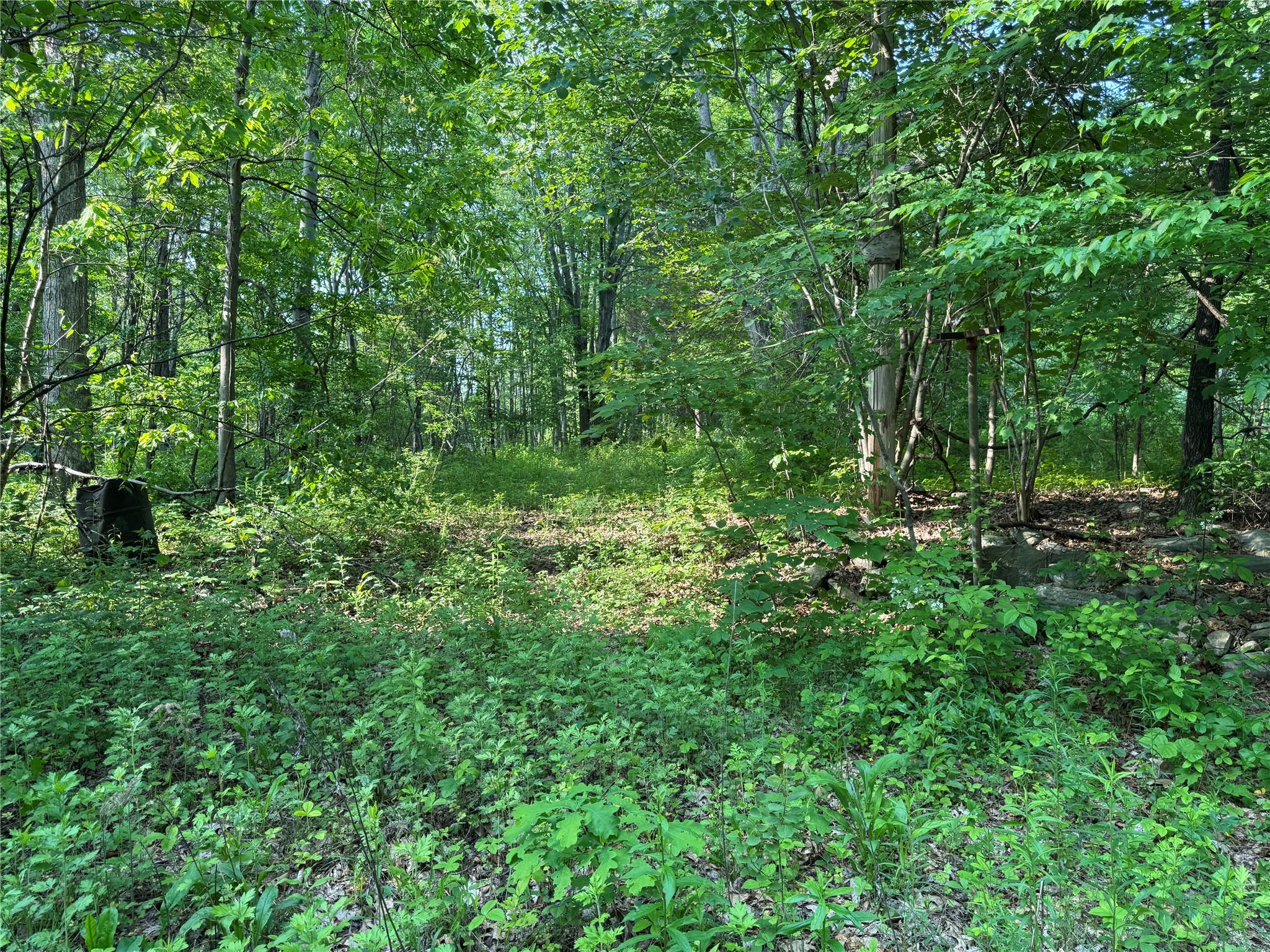 16 Saul Trail, Wallkill, New York image 2