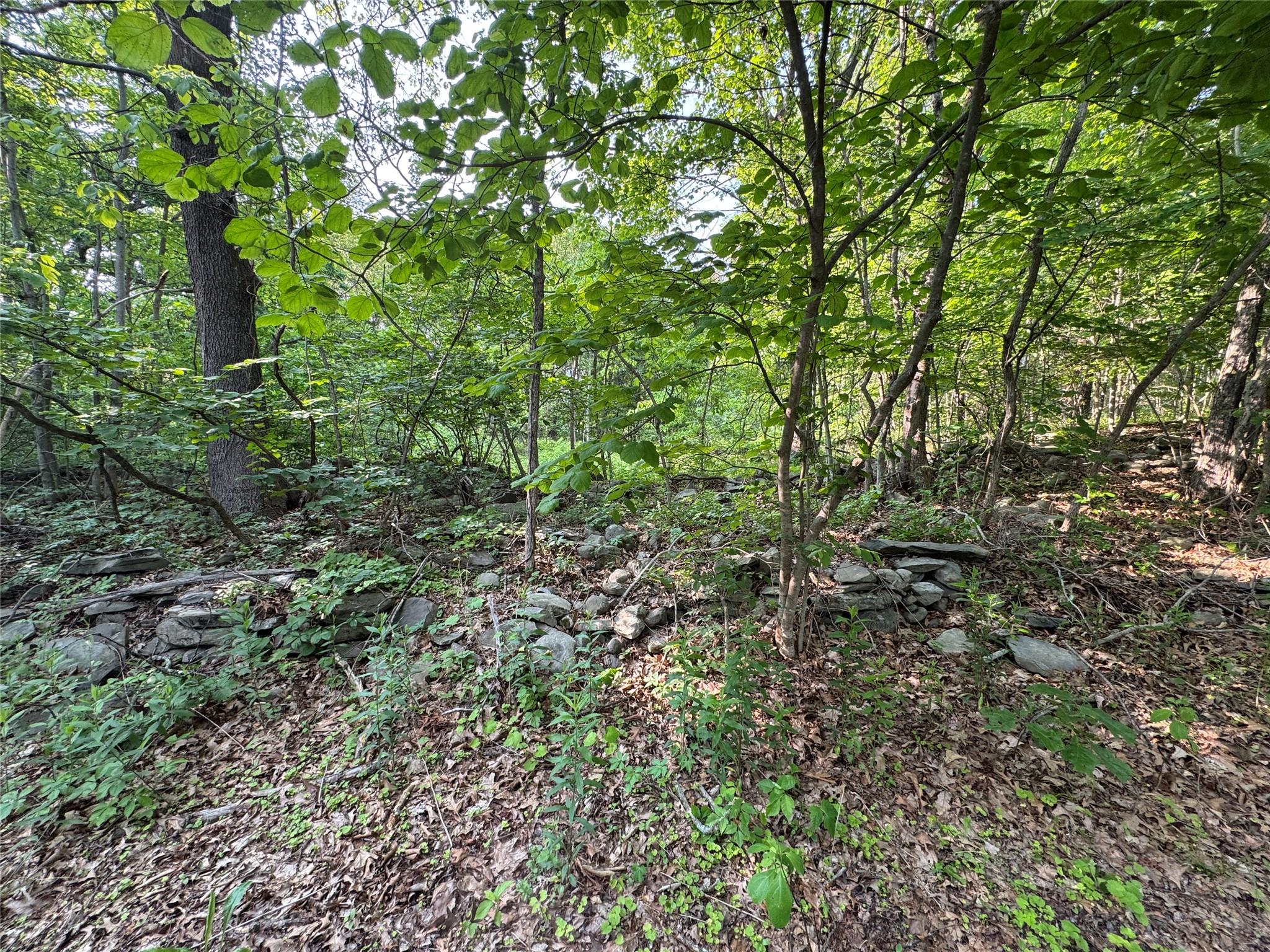 16 Saul Trail, Wallkill, New York image 6