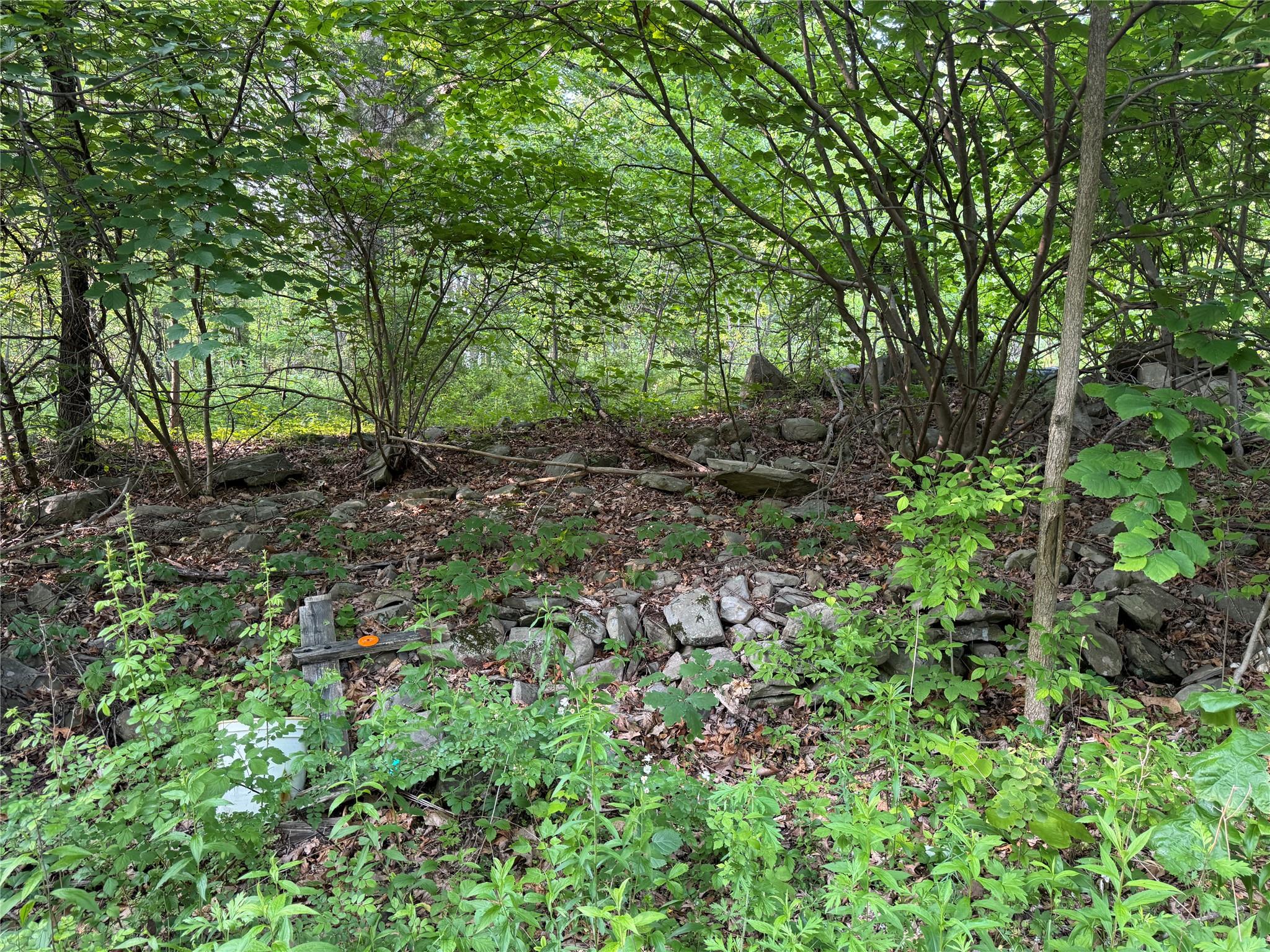 16 Saul Trail, Wallkill, New York image 4