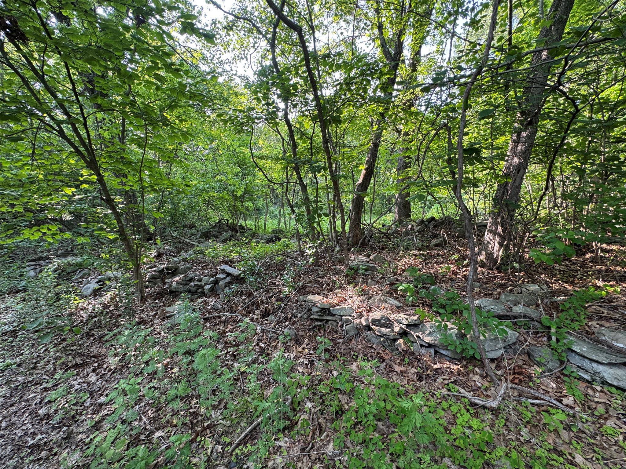16 Saul Trail, Wallkill, New York image 7