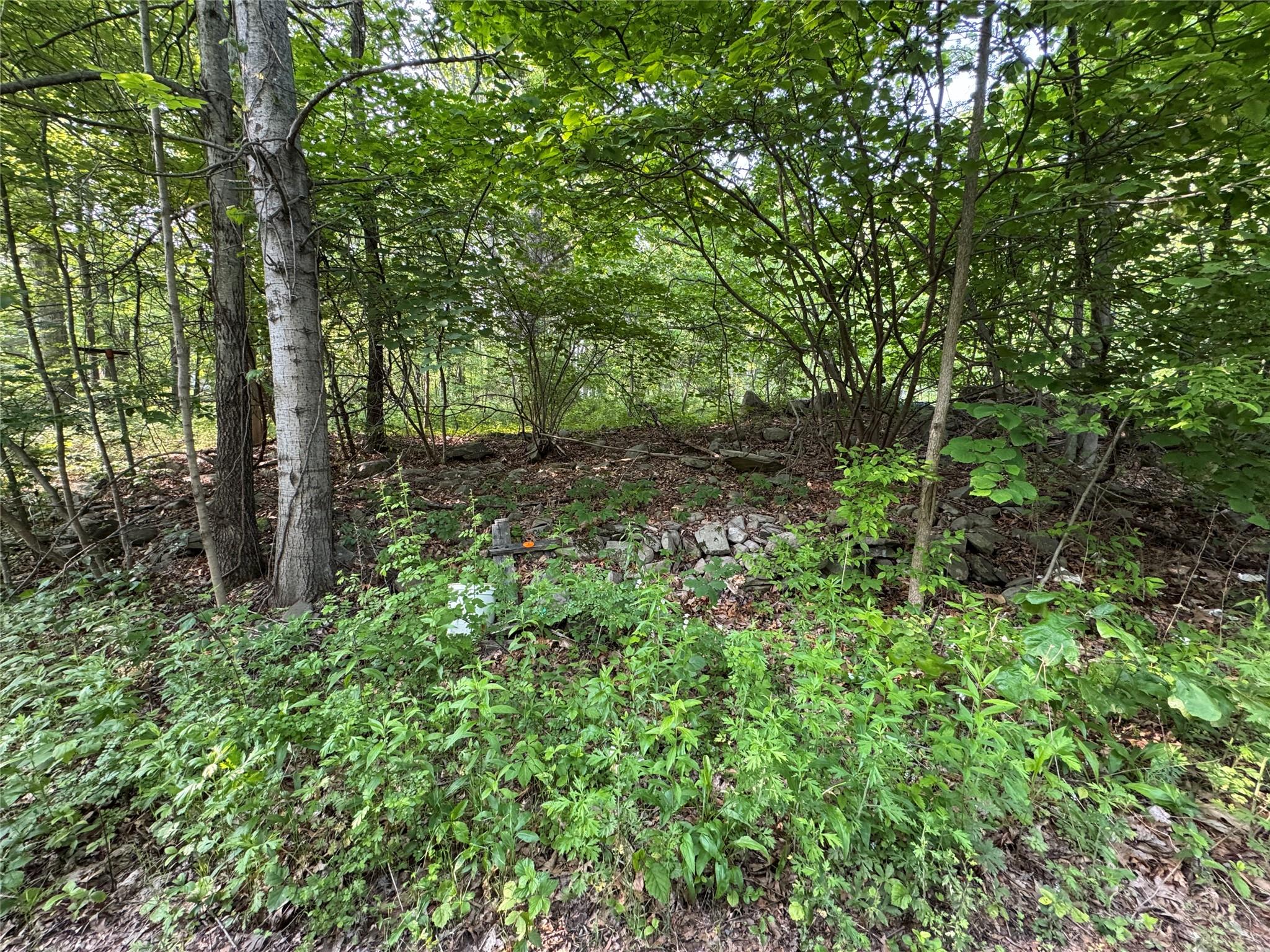 16 Saul Trail, Wallkill, New York image 5