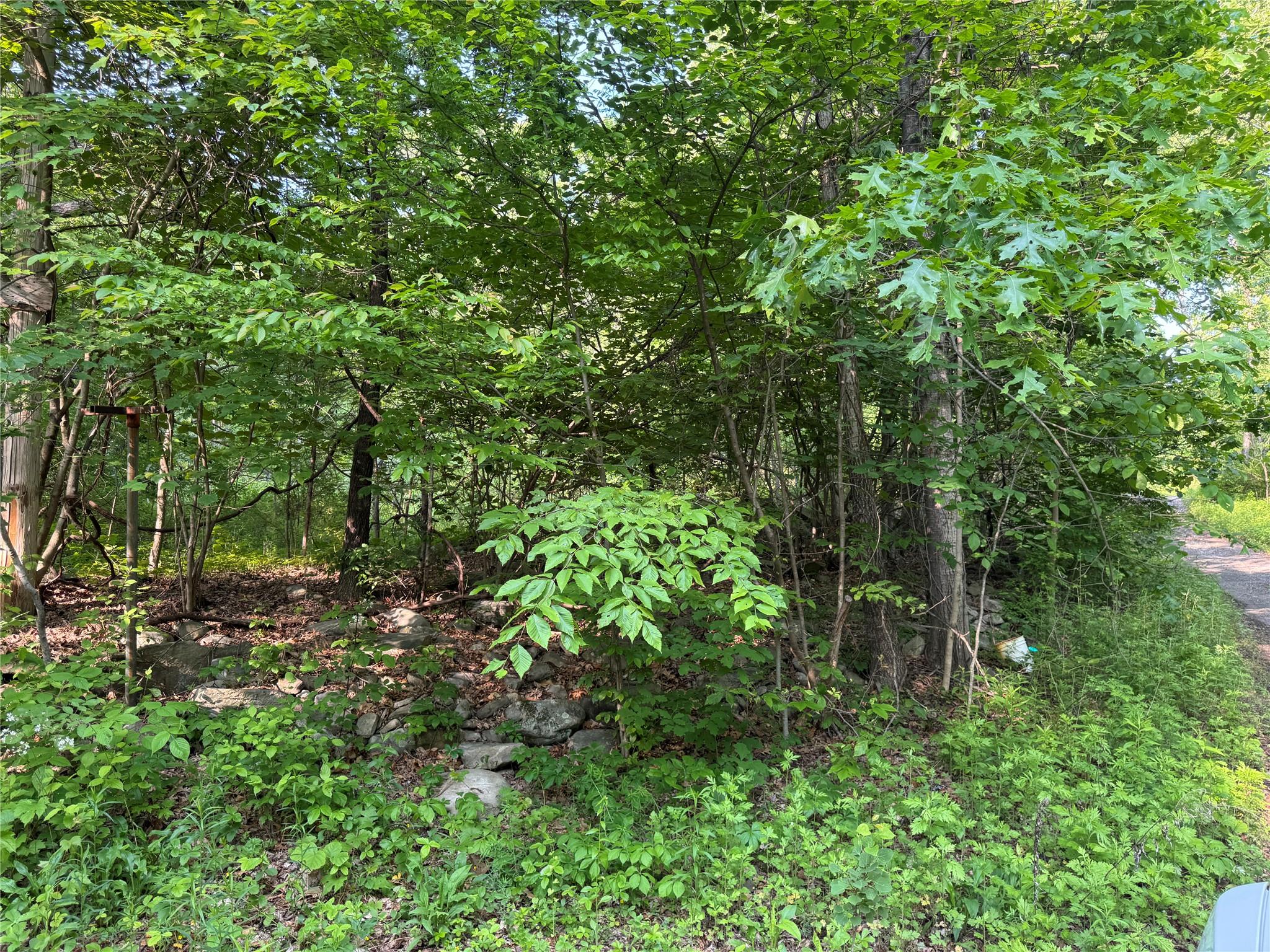 16 Saul Trail, Wallkill, New York image 3
