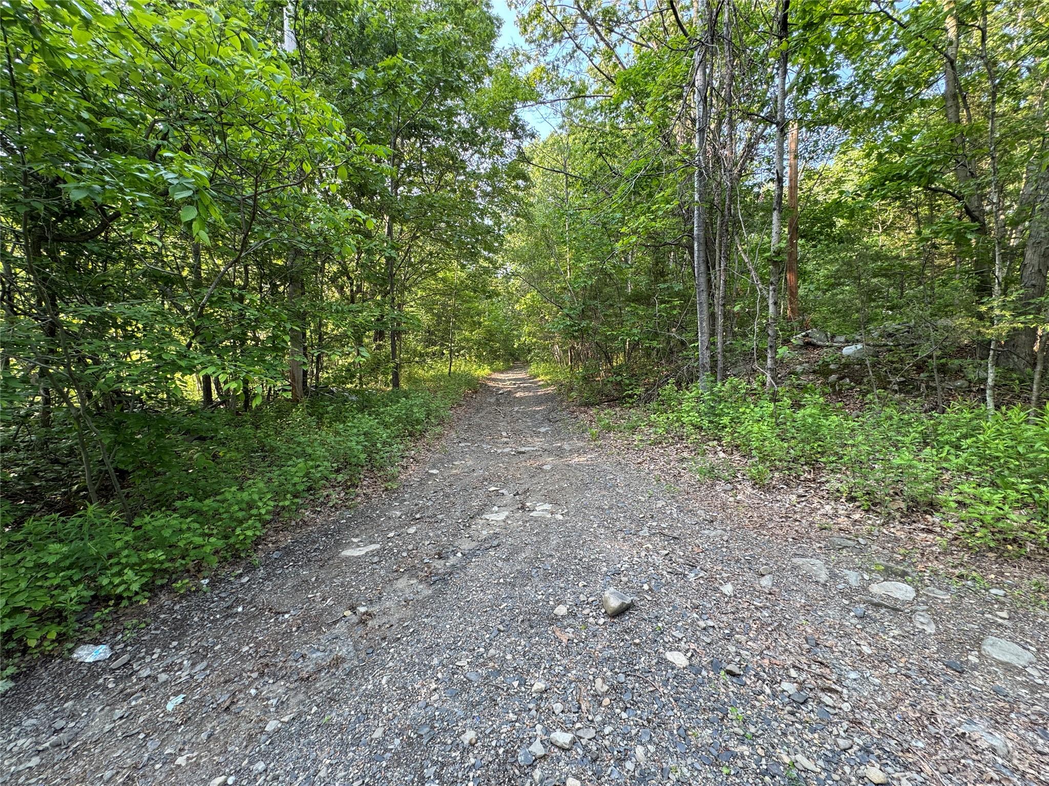 16 Saul Trail, Wallkill, New York image 1