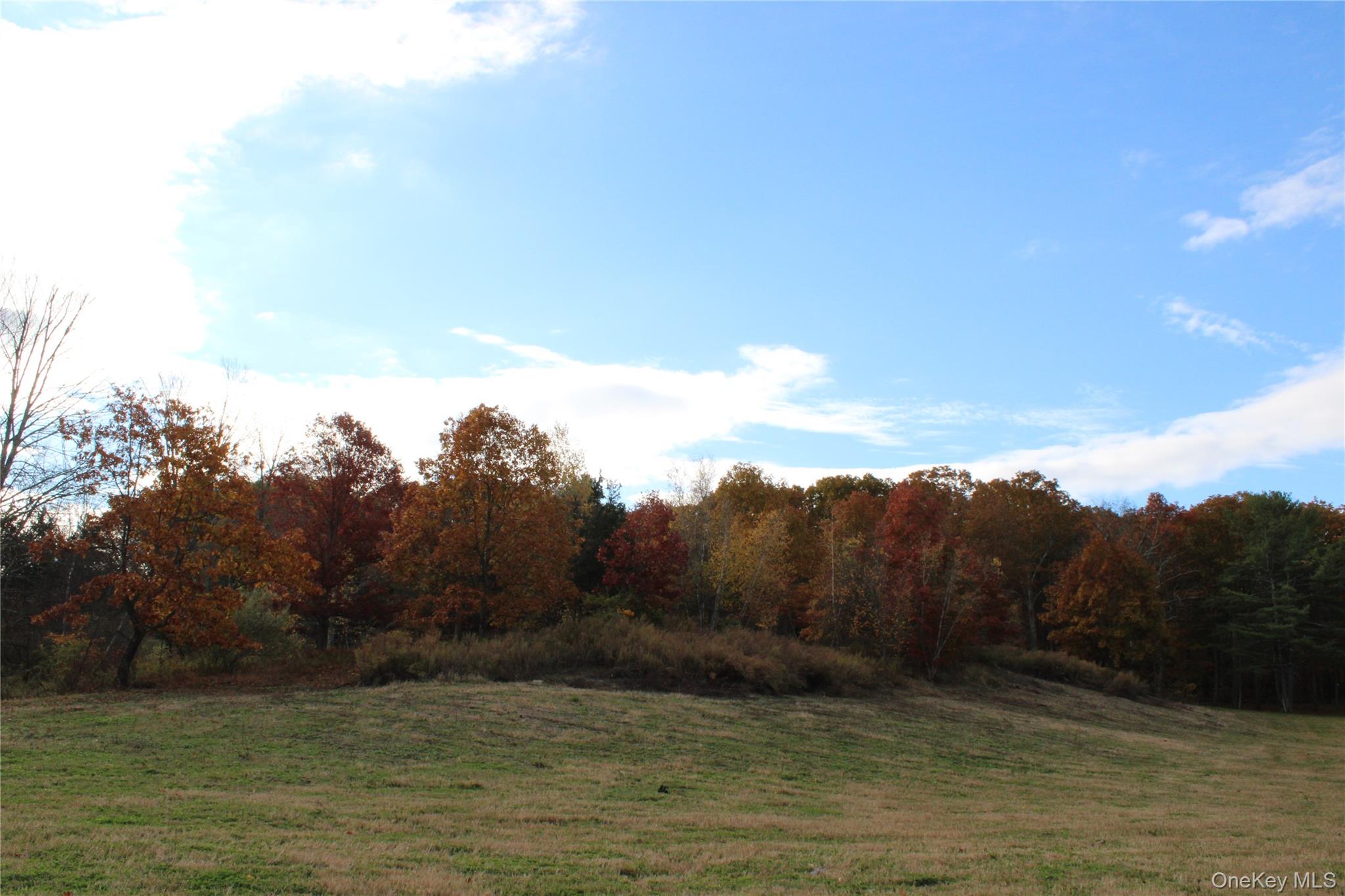 Rhinebeck, New York 12572, United States, 2 Bedrooms Bedrooms, ,2 BathroomsBathrooms,Residential,Active,232746