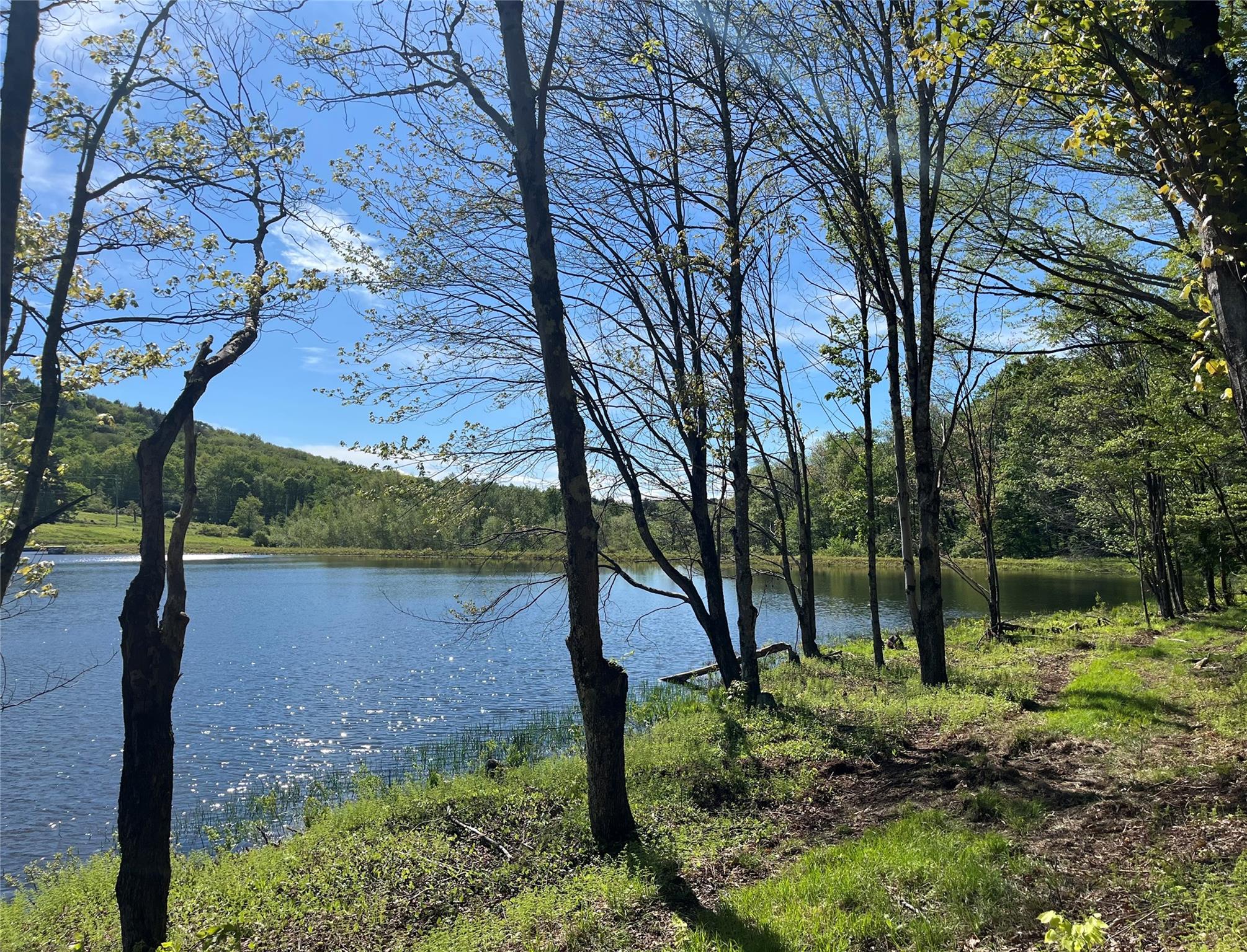 153 Eagles Ridge Way, Parksville, New York image 11