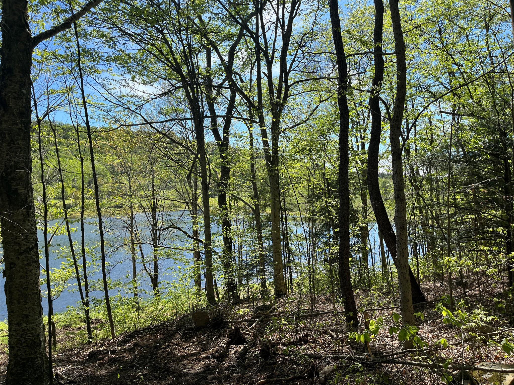 153 Eagles Ridge Way, Parksville, New York image 10