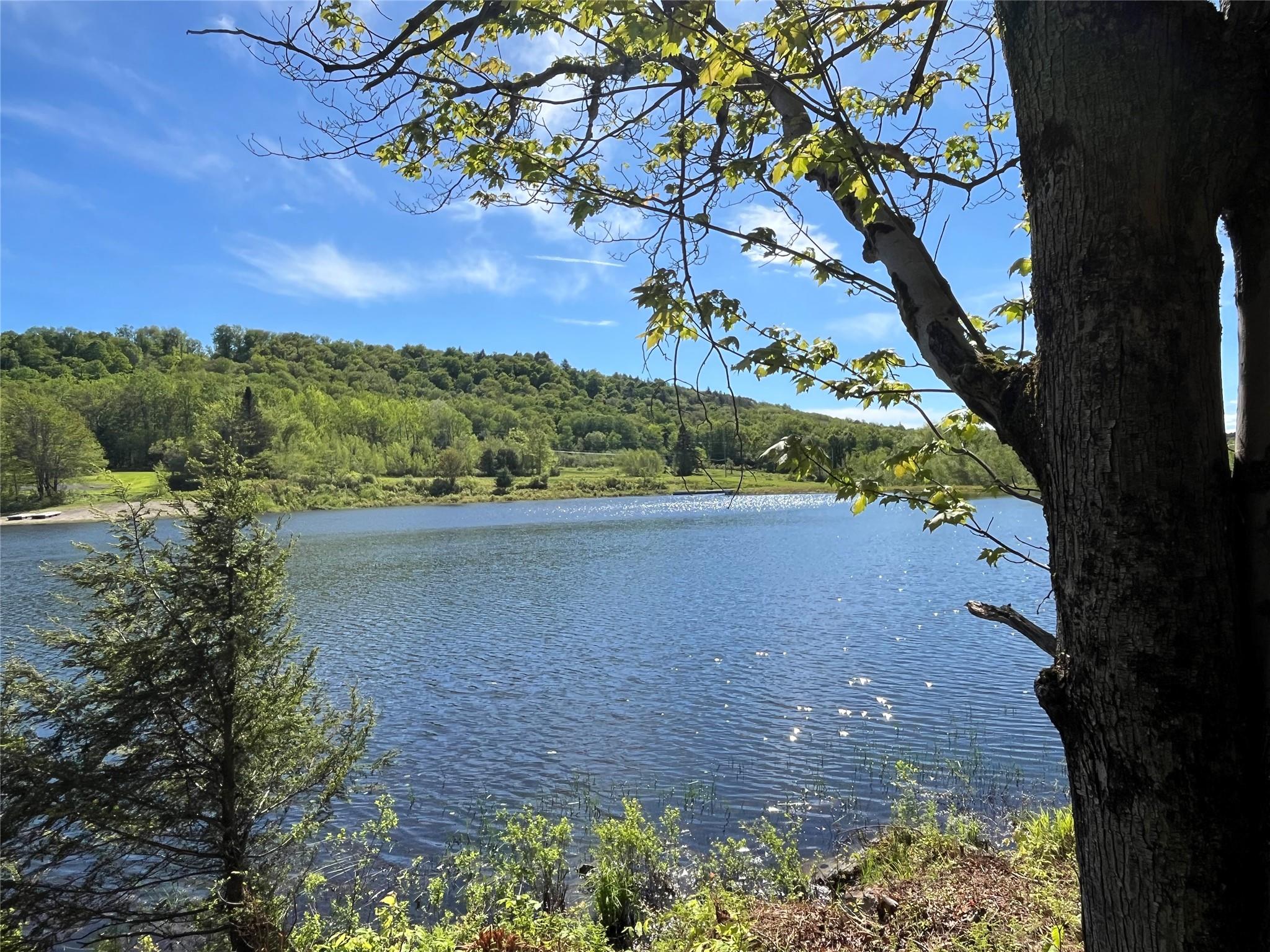 153 Eagles Ridge Way, Parksville, New York image 1