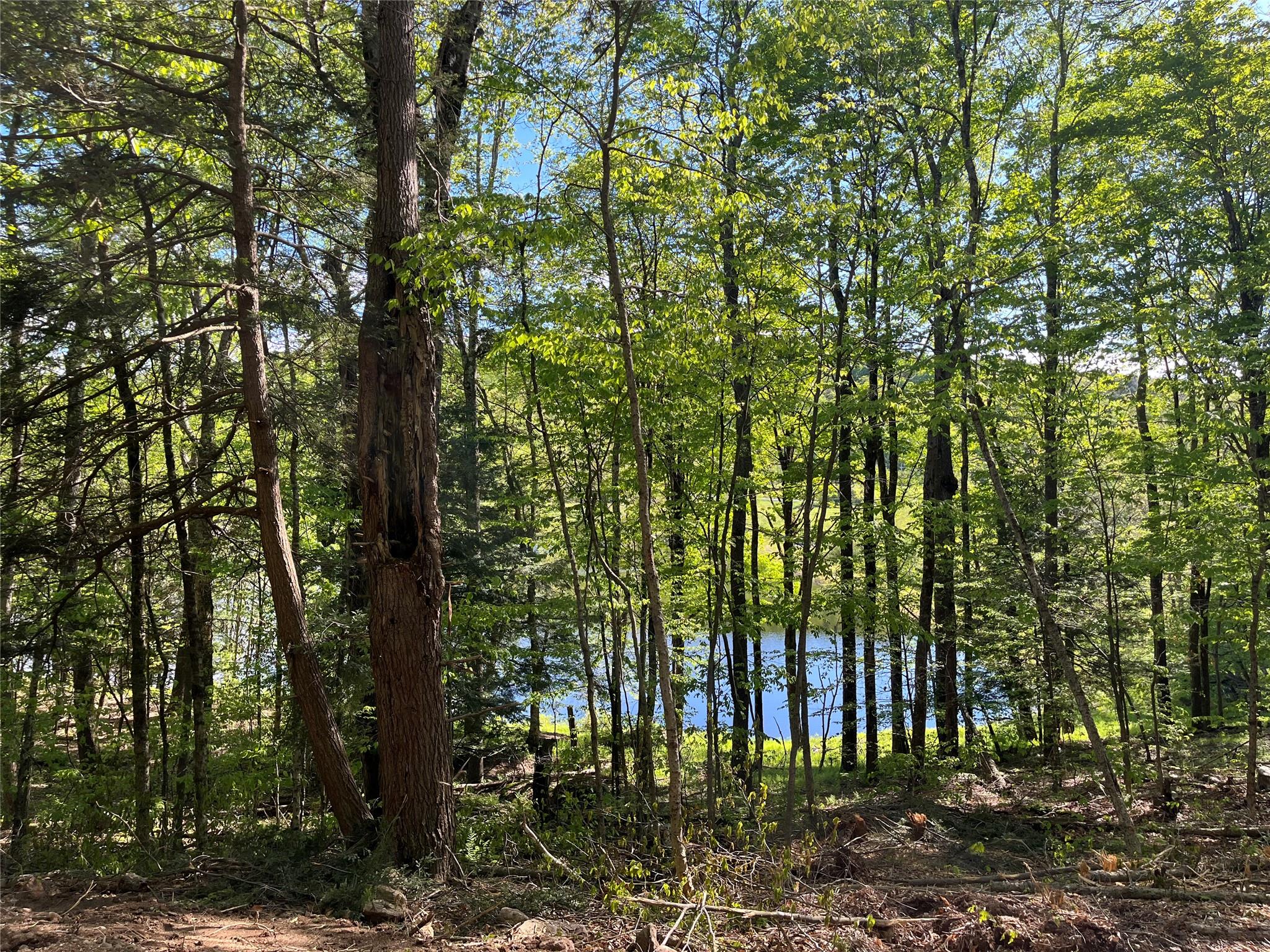 153 Eagles Ridge Way, Parksville, New York image 20