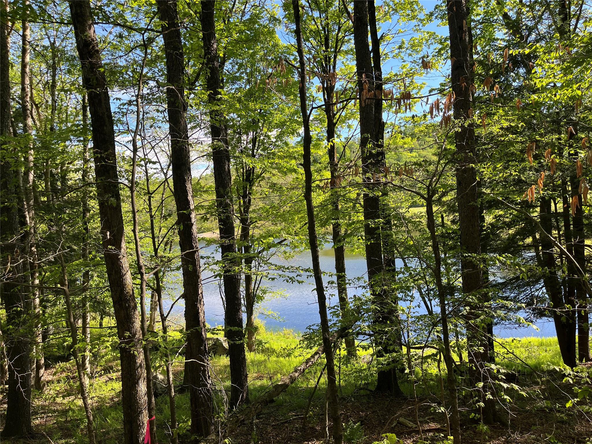 153 Eagles Ridge Way, Parksville, New York image 19