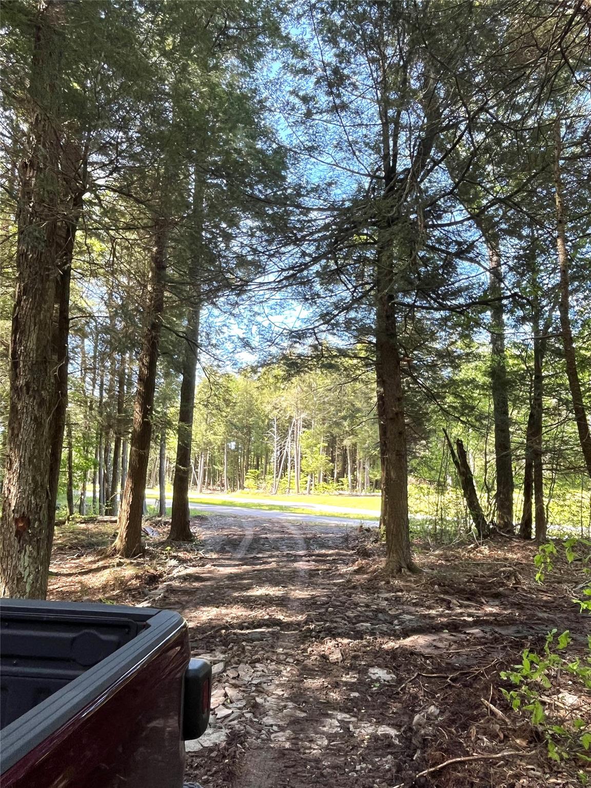 153 Eagles Ridge Way, Parksville, New York image 3