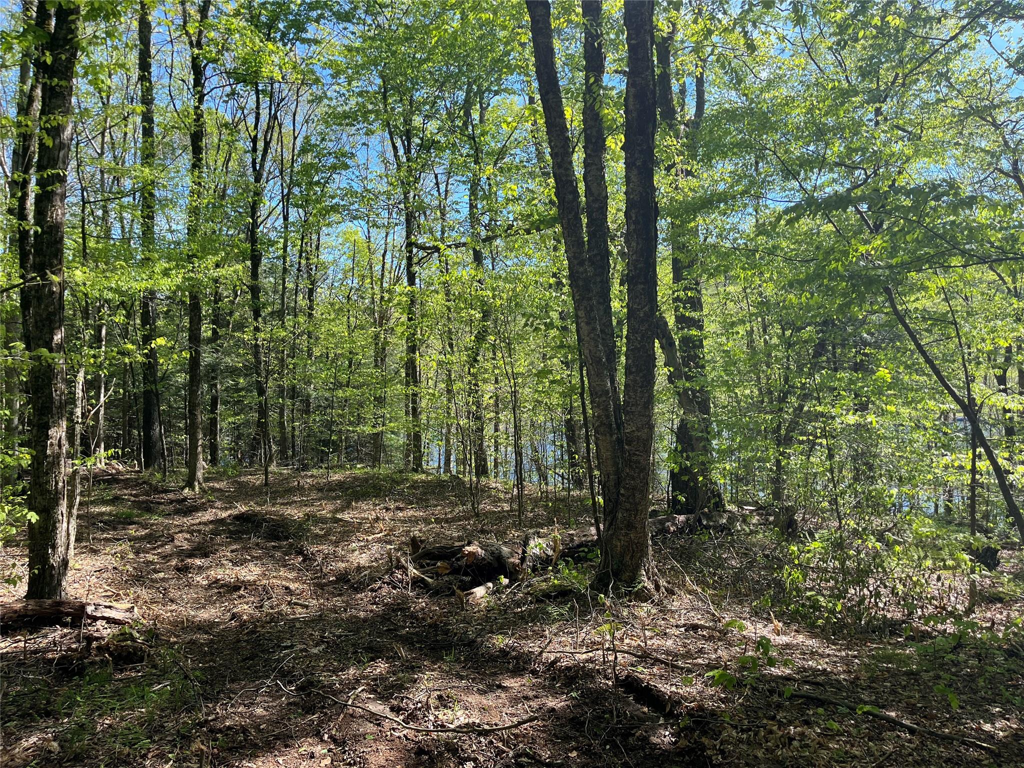 153 Eagles Ridge Way, Parksville, New York image 9