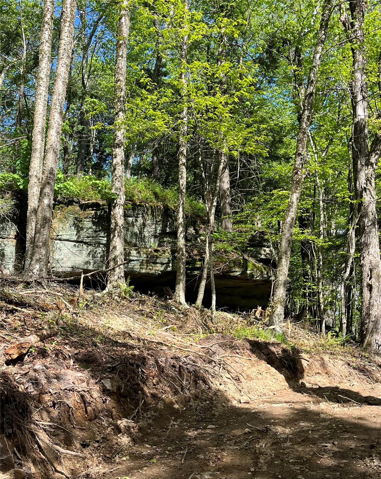 153 Eagles Ridge Way, Parksville, New York image 8