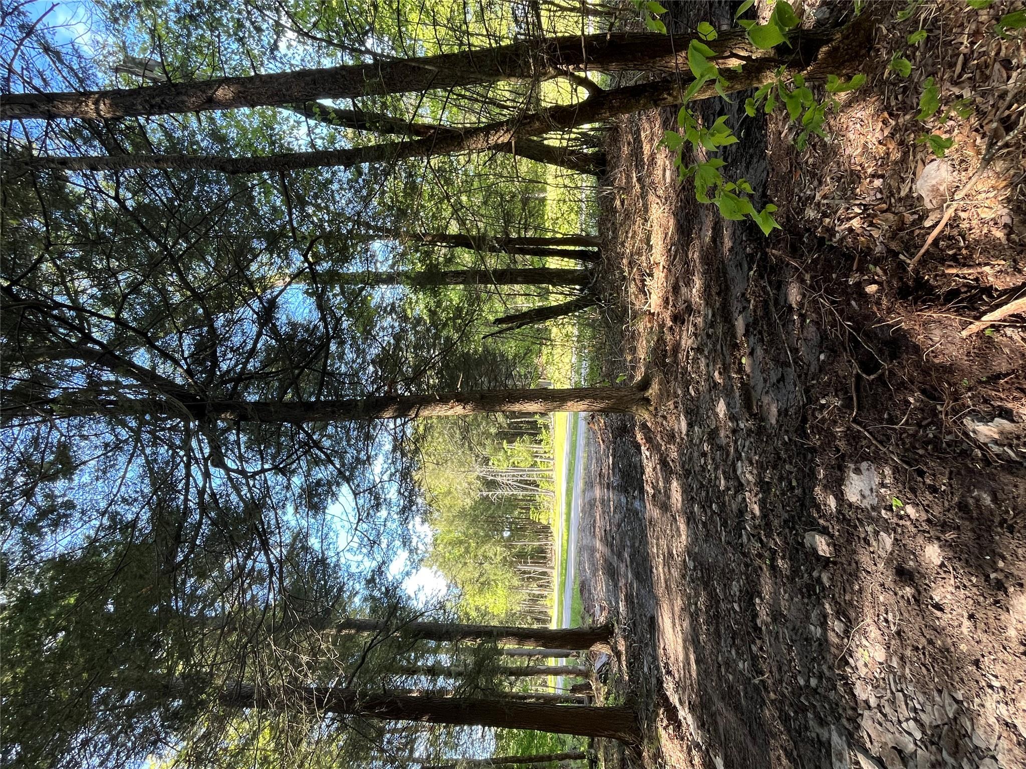 153 Eagles Ridge Way, Parksville, New York image 24