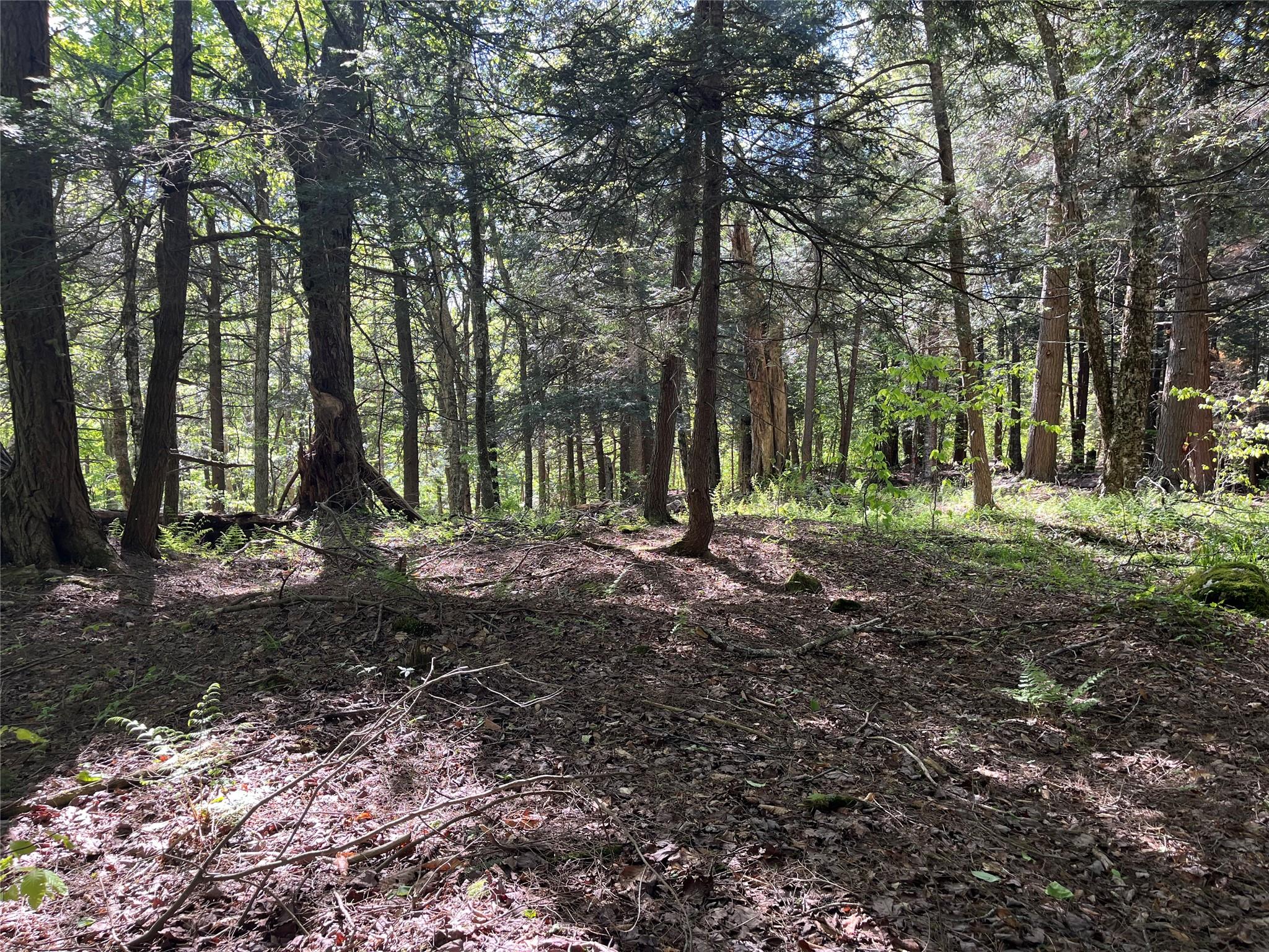 153 Eagles Ridge Way, Parksville, New York image 17