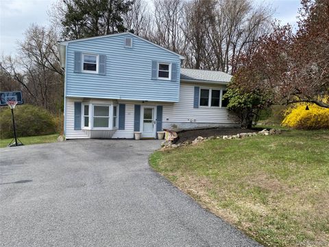 43 Duelk Avenue Monroe NY 10950