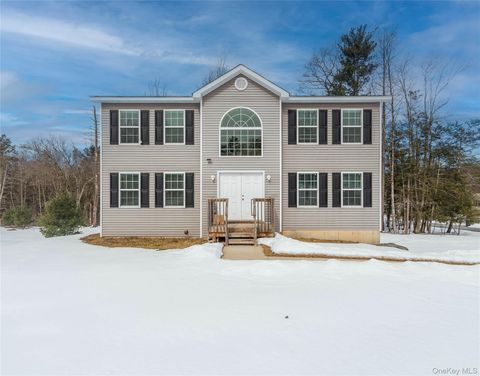 62 Bristol Circle Rock Hill NY 12775