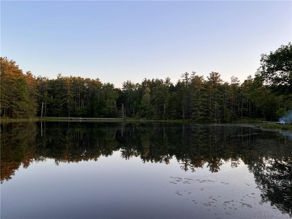 Stag Forest Road, Forestburgh, New York image 18