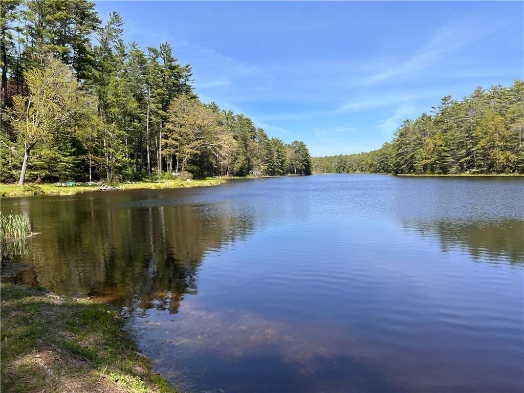 Stag Forest Road, Forestburgh, New York image 19