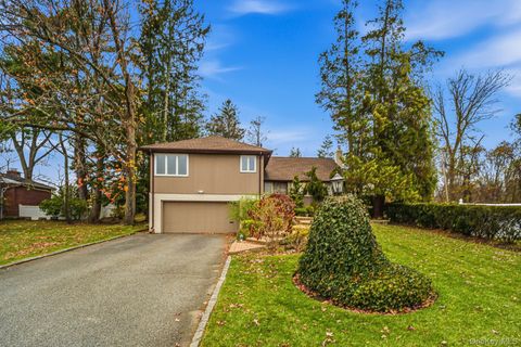 123 Robby Lane Manhasset Hills NY 11040