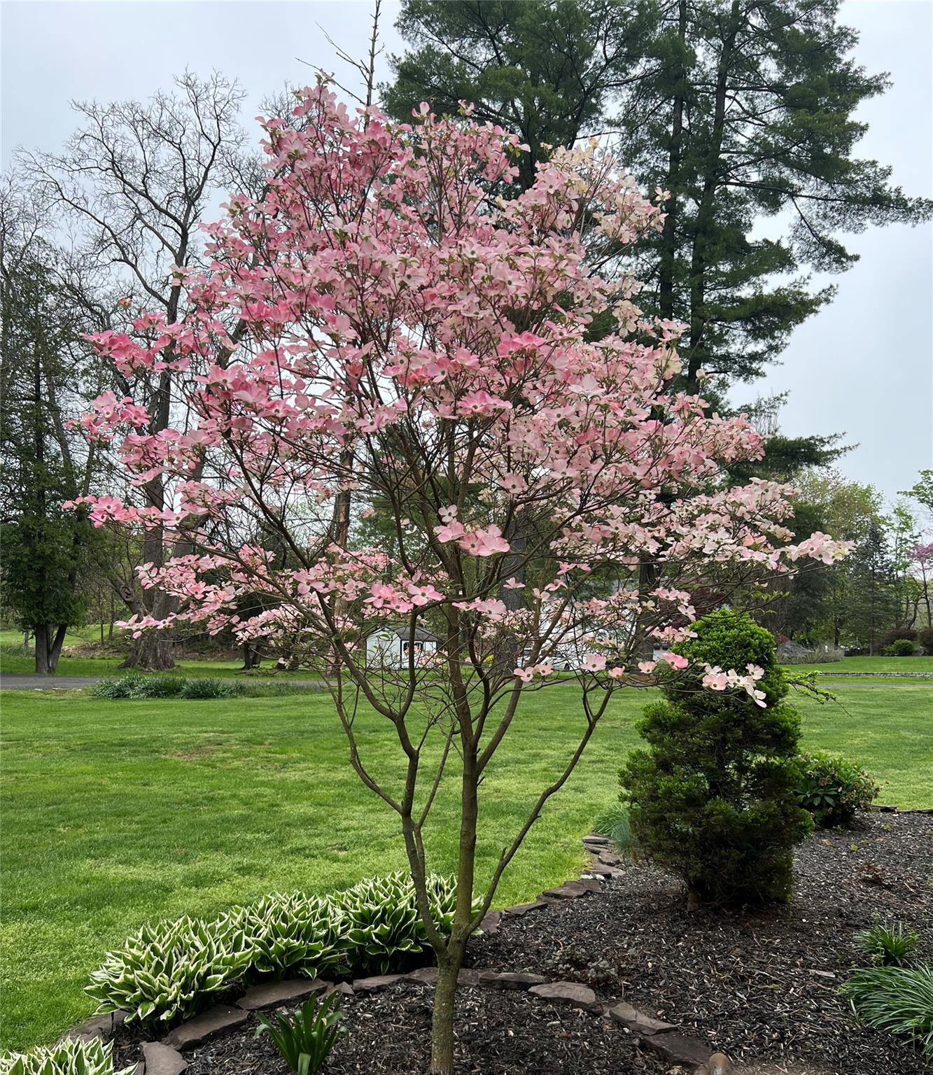 3 De Camp Court, Stony Point, New York image 36