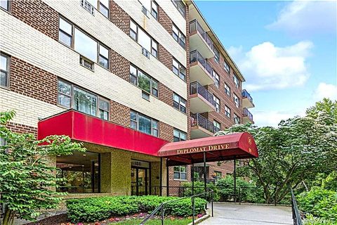 100 Diplomat Drive 8J Mount Kisco NY 10549