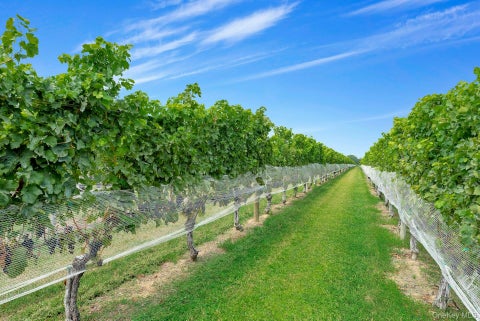 Vacant Land For Sale - 44075 Route 25<br/> Peconic, NY 11971