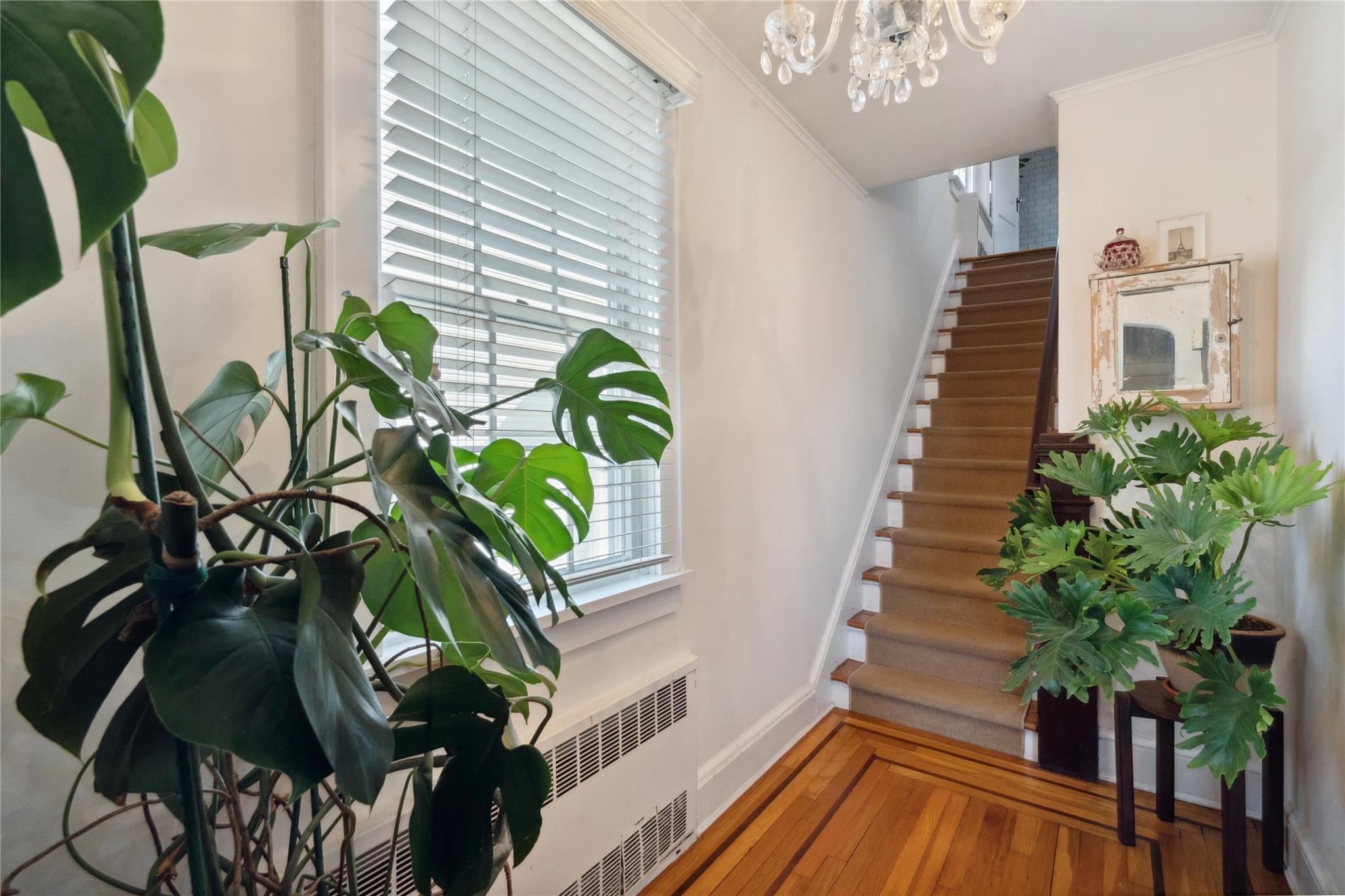 19 Beatrice Avenue, Syosset, New York image 3