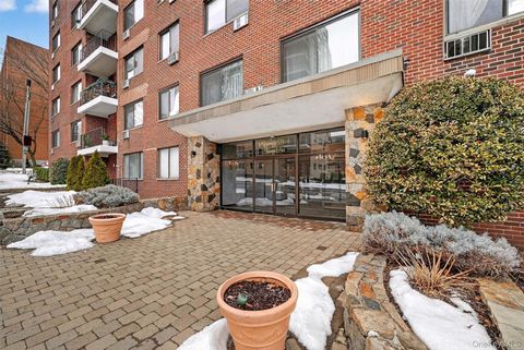 25 Lake Street 3D White Plains NY 10603