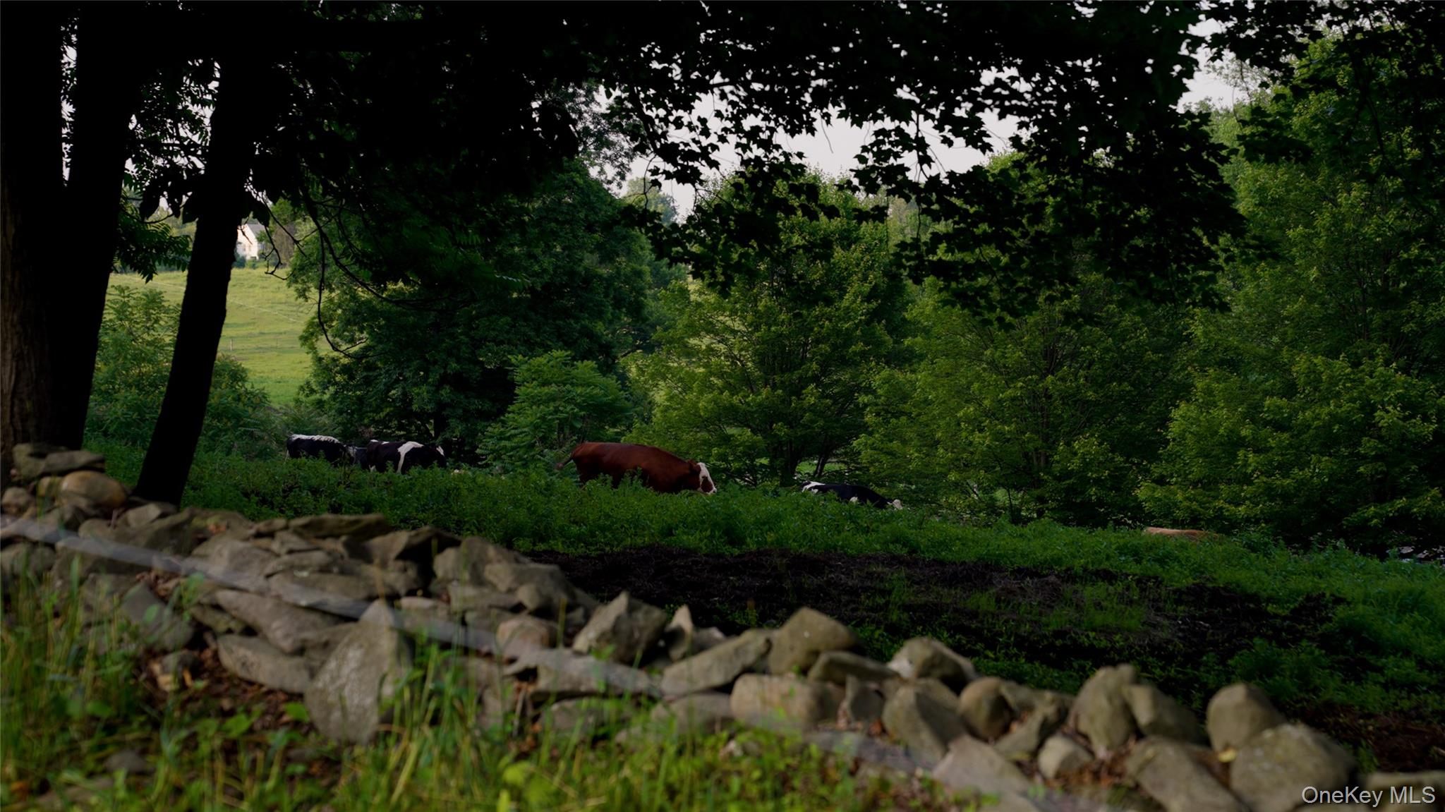 2039 Salt Point Turnpike