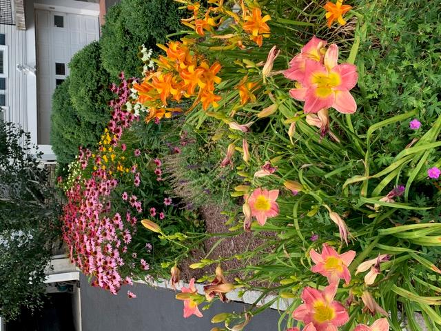 64 Bolton Avenue, White Plains, New York image 32
