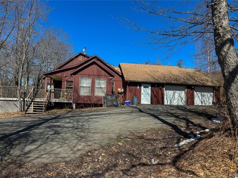 381 Dutch Hill Road Call Listing Agent NY 12776