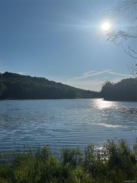 Vacant Land For Sale - 47 Eagles Ridge Way<br/> Parksville, NY 12768