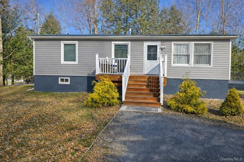 1 Morris Road Mountain Dale NY 12763