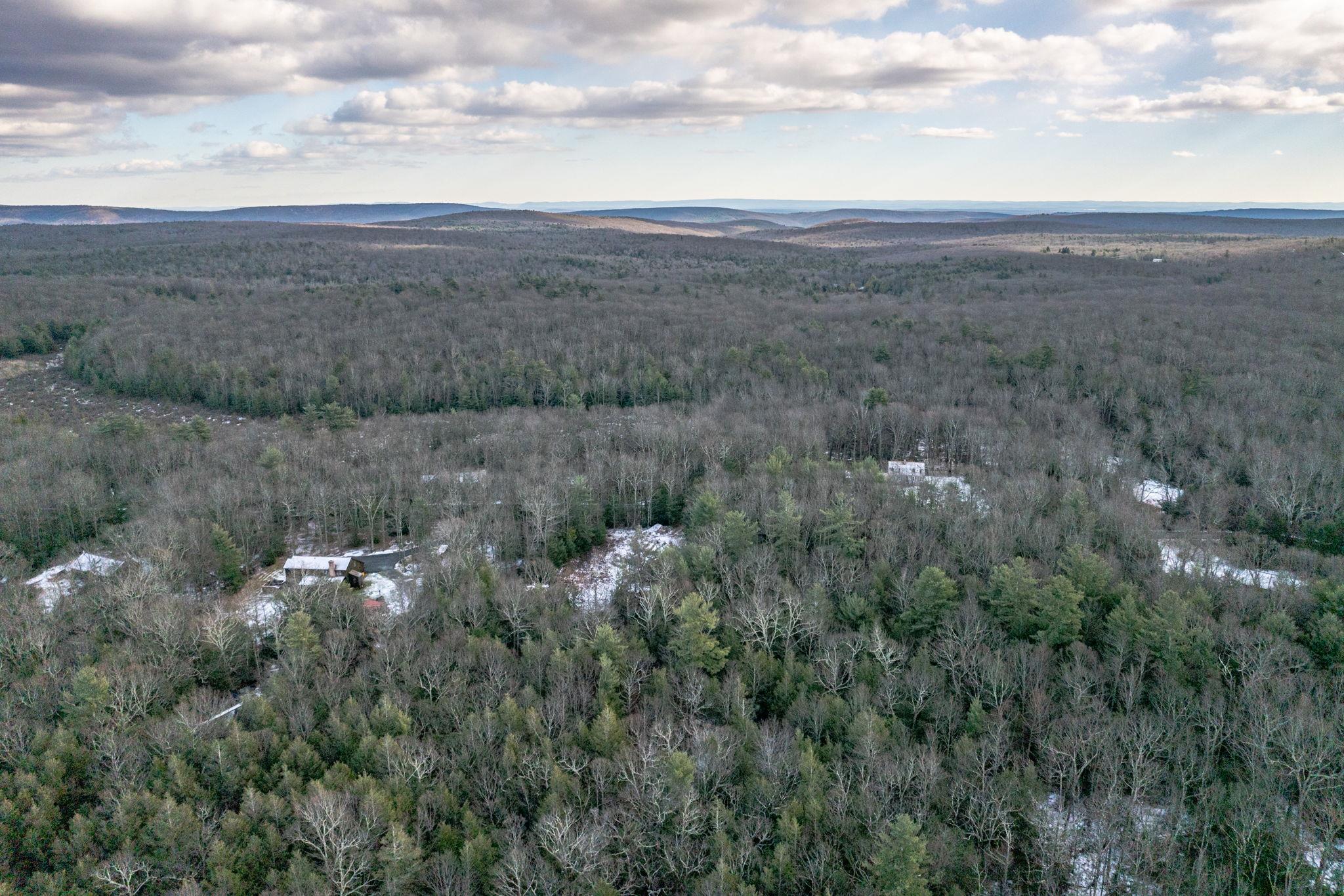 Renner Road, Fallsburg, New York image 6