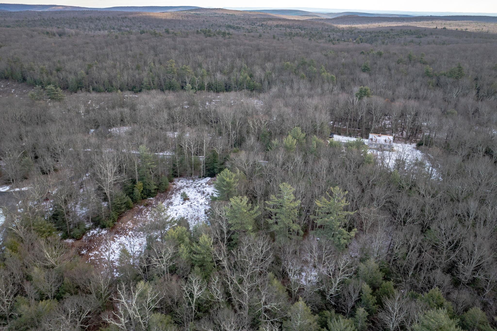 Renner Road, Fallsburg, New York image 8