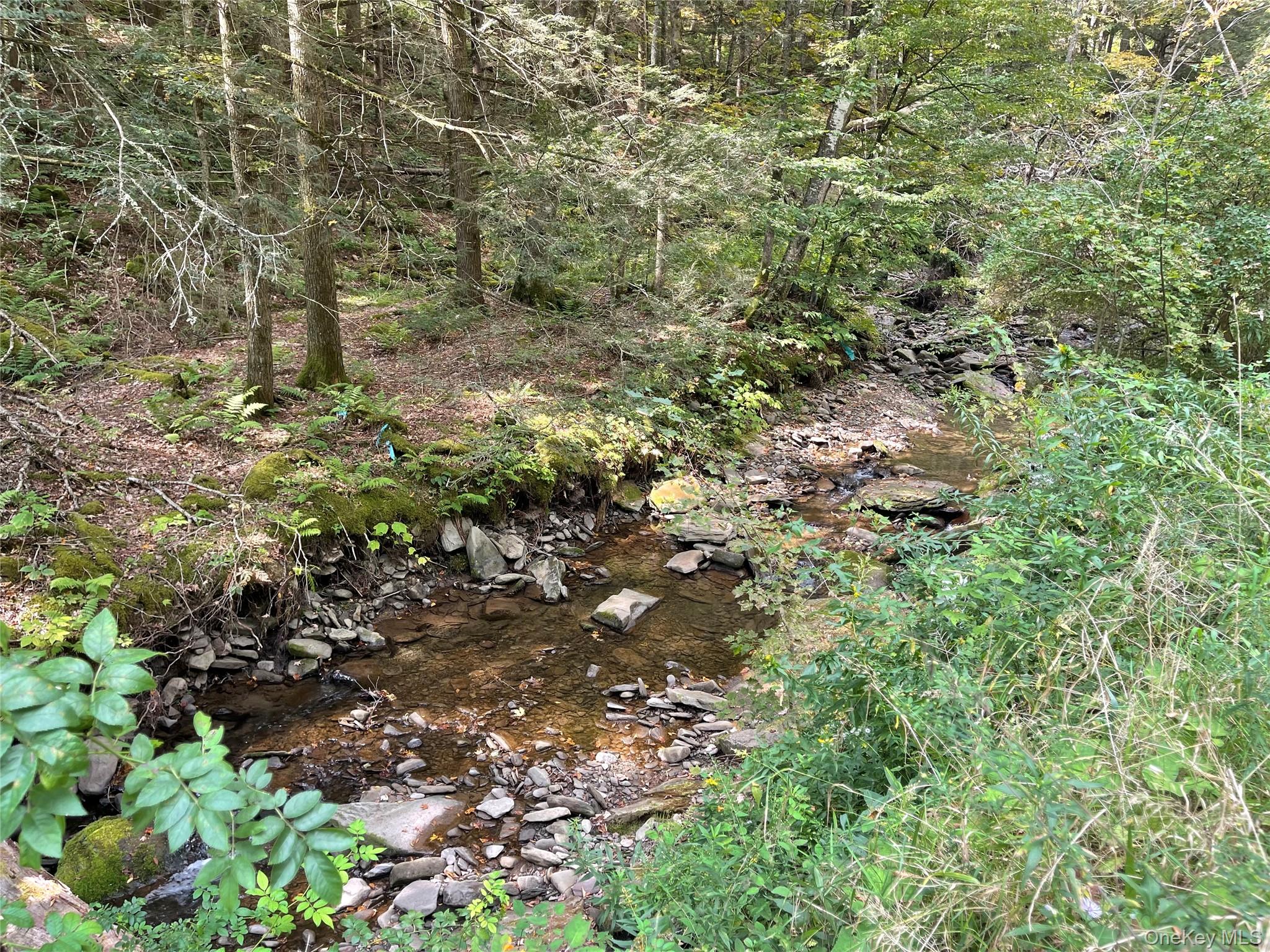 Carcass Brook Spur