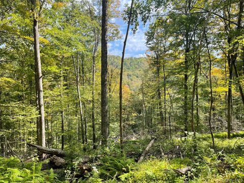 Vacant Land For Sale - Carcass Brook Spur<br/> Delaware County, Hancock, NY 13783