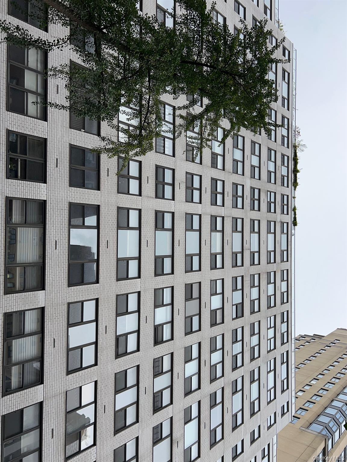 420 E 51st Street 8DE