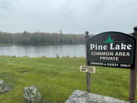 Vacant Land For Sale - LOT # 20 Pine Lake Drive<br/> Wurtsboro, NY 12790