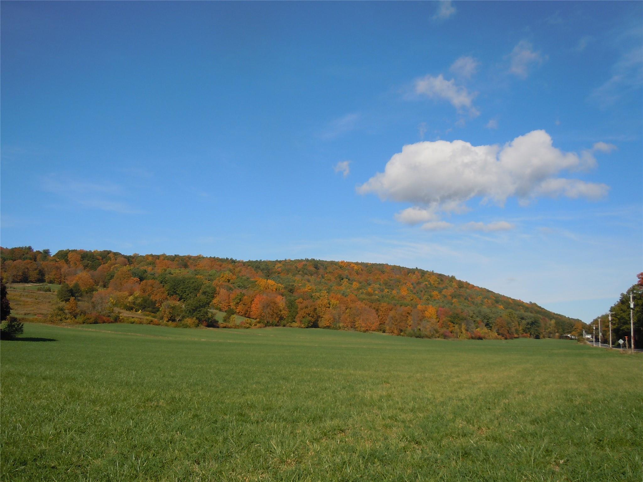 22 Decocco, Selkirk, New York image 7