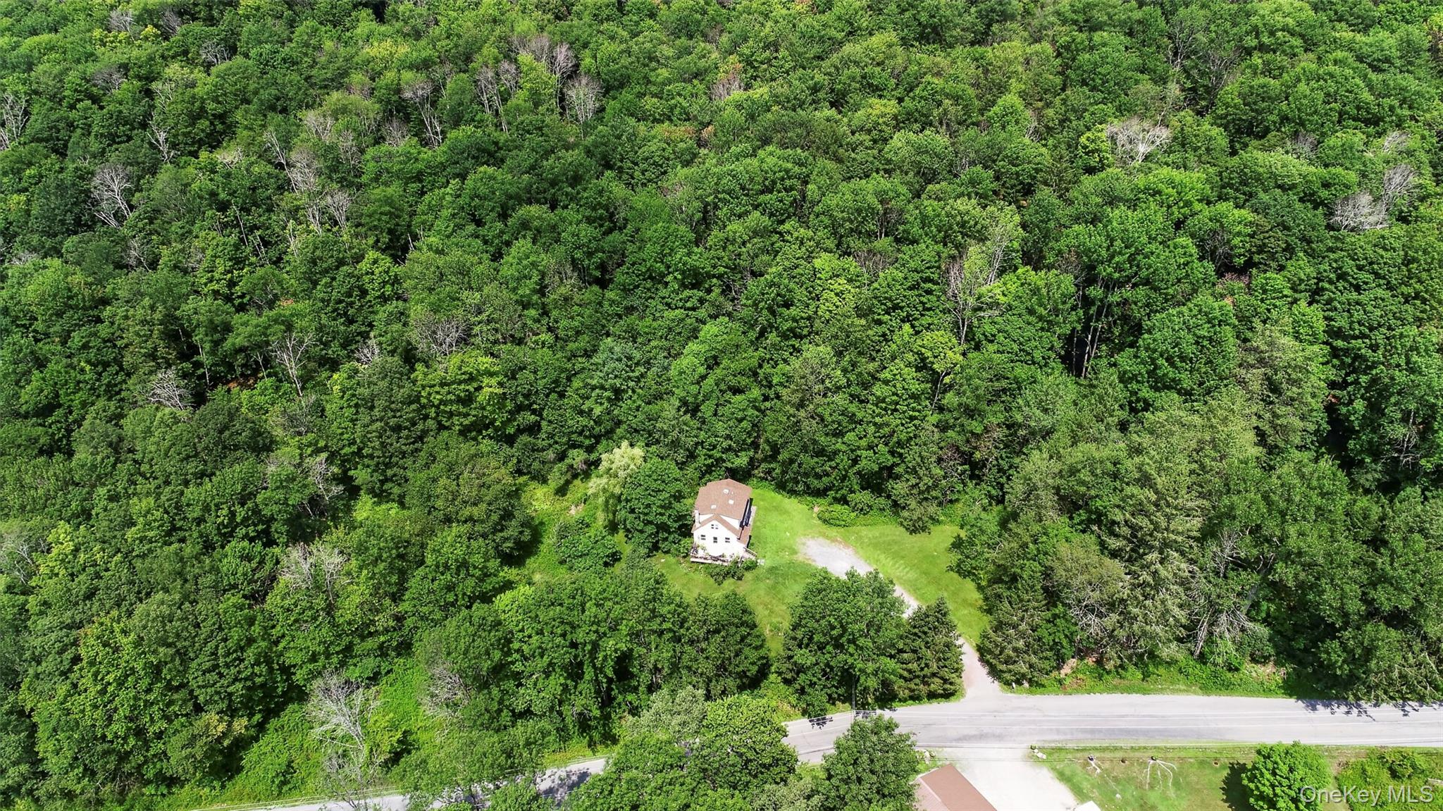 TDB White Roe Lake Road
