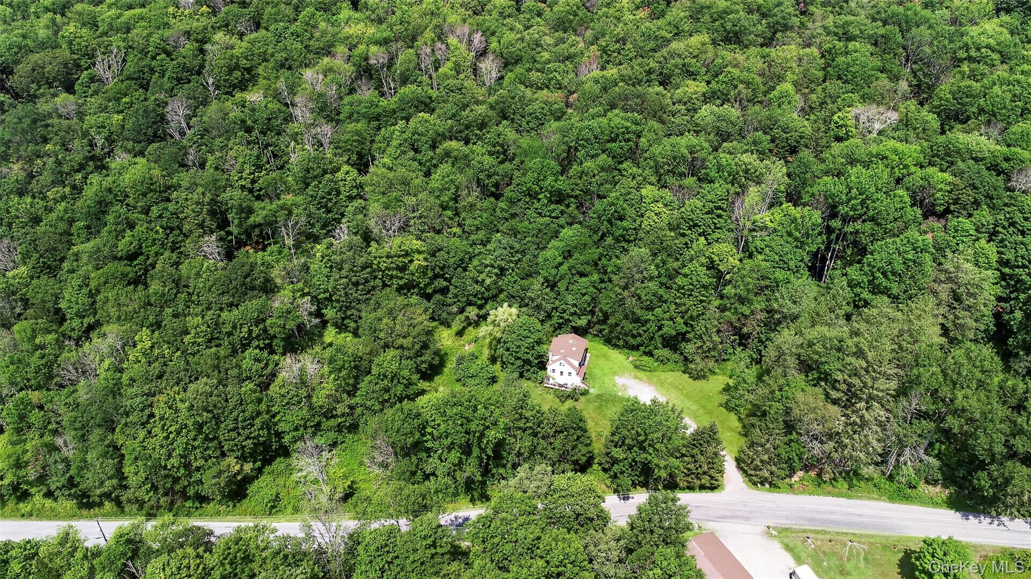 TDB White Roe Lake Road