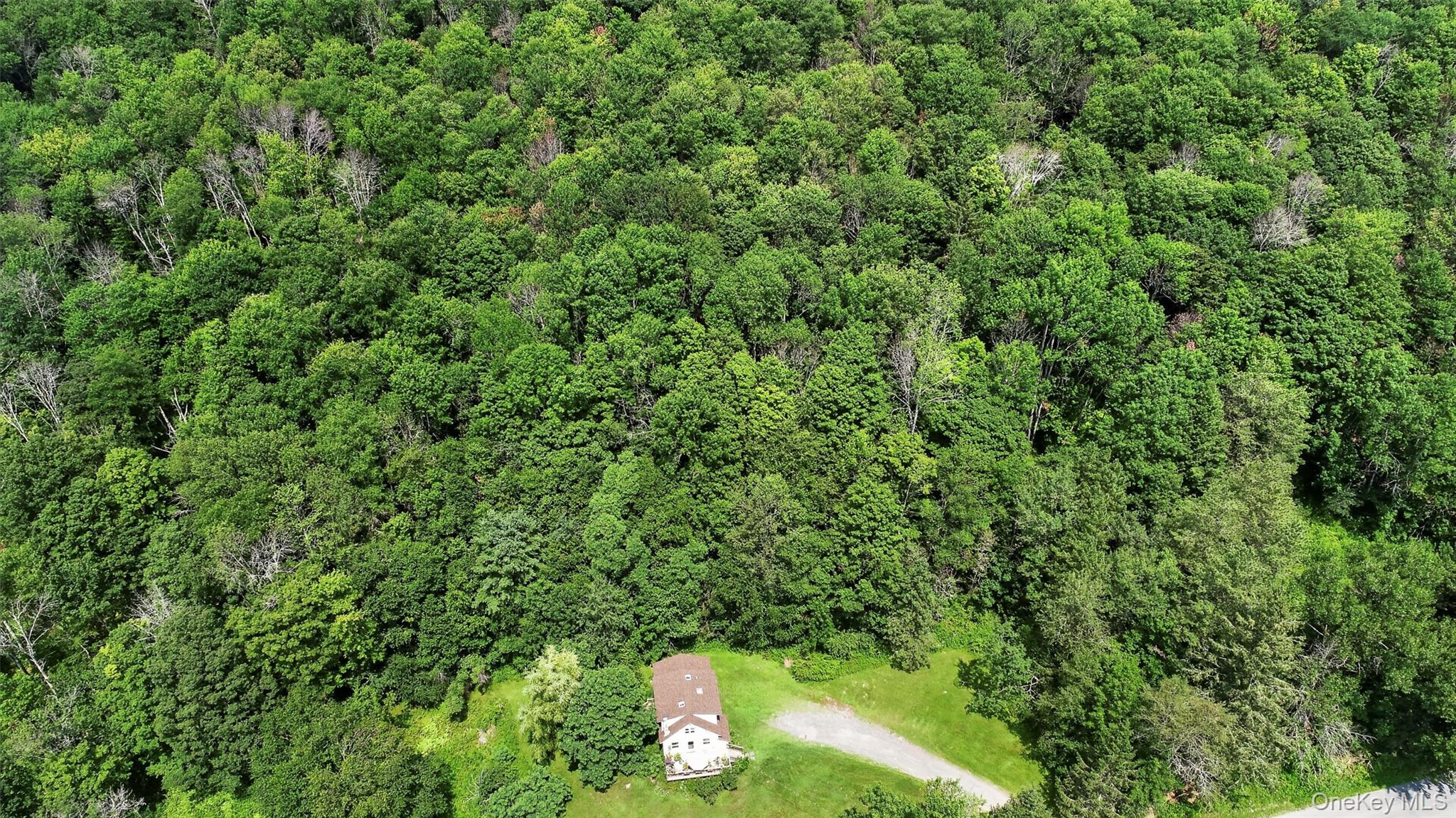 TDB White Roe Lake Road