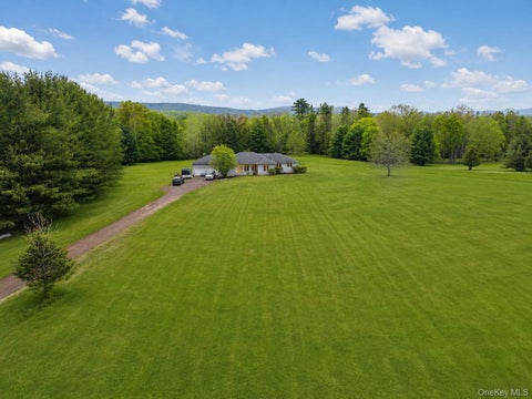 Homes For Sale - 354 Petticoat Lane<br/> Bloomingburg, NY 12721