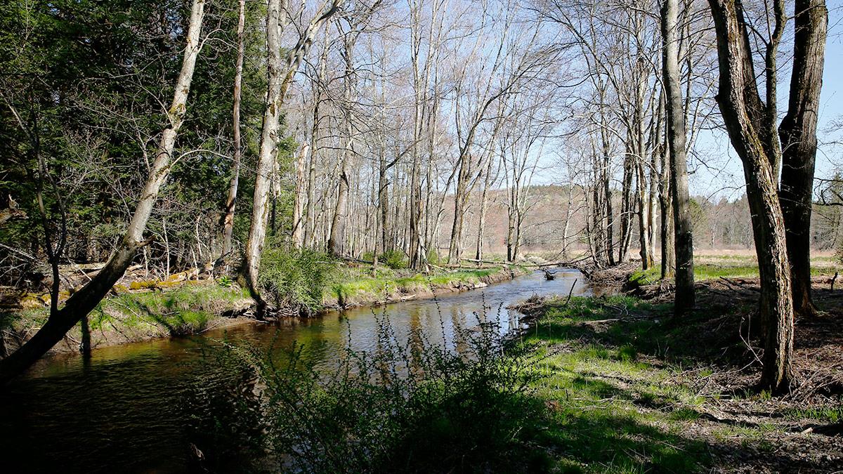 36 W Read Avenue, Smallwood, New York image 17
