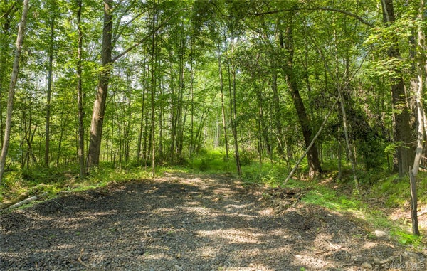 111 SOUTH ST LOT 4, HIGHLAND, NY 12528 - Image 4e58716a8dcd3b97b18f049f00bb2c87/36637925